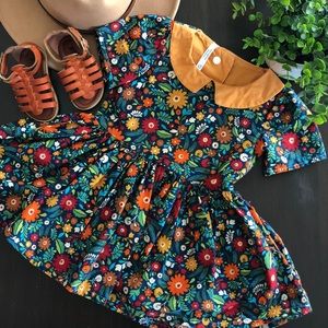 🎉HOST PICK! 🎉🍂🍁Peter Pan collar dress